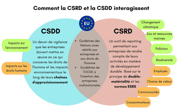 csdd csrd