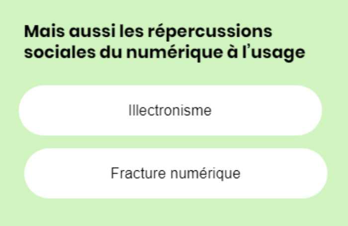 Impacts saciaux : illectronisme et fracture numérique